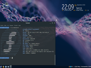 Cinnamon Fedora 29 Cinnamon